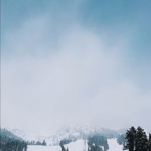 Meet your Posher, Whitney